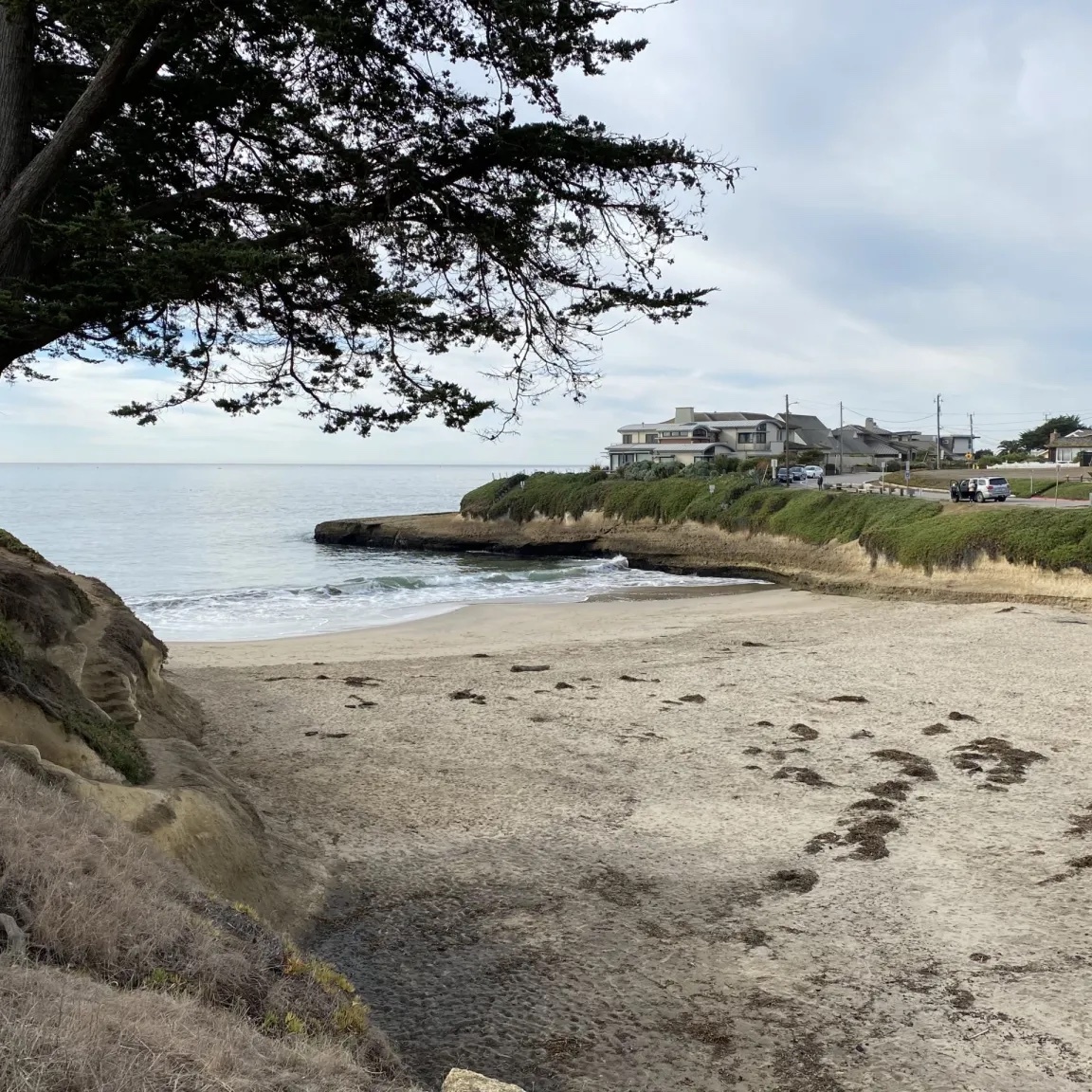 Beach Cleanup @ Sunny Cove Beach - logo